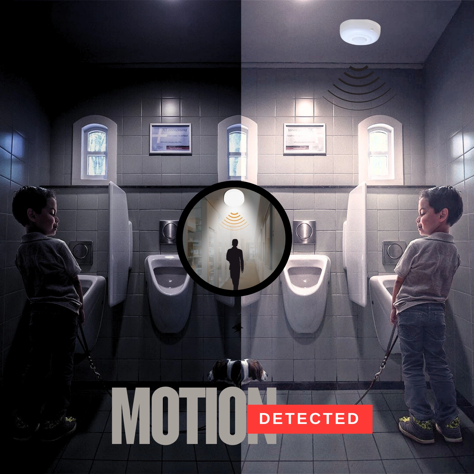 Pir and Motion Sensor in Chennai